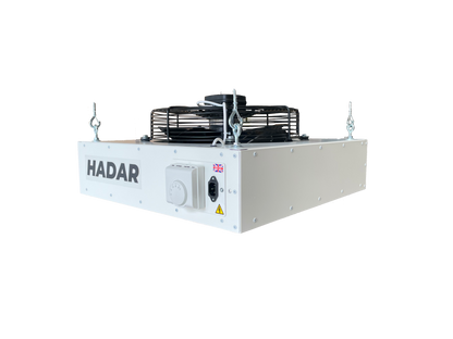 Hadar Destrat Fan